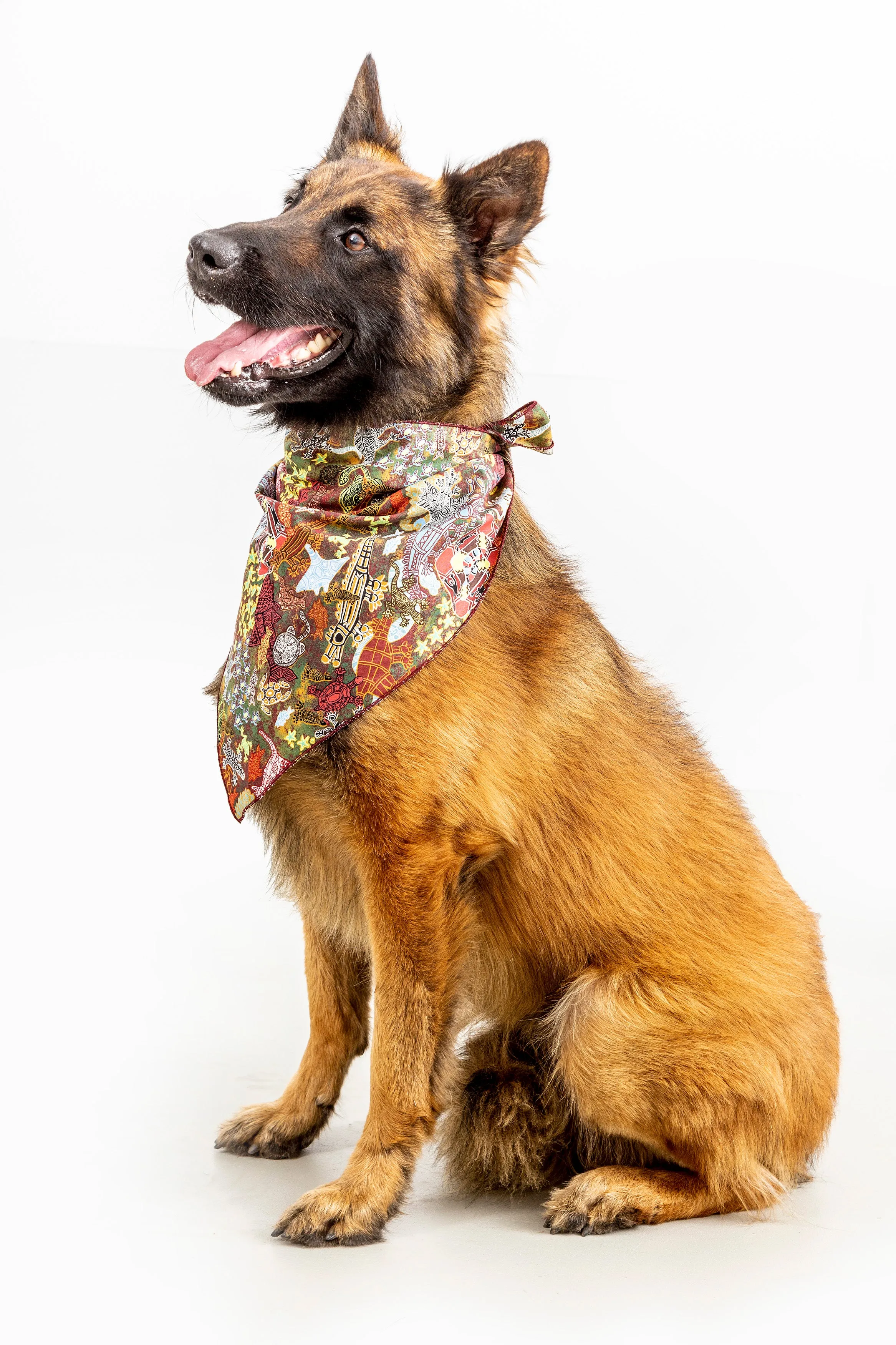 Doggie Bandanas