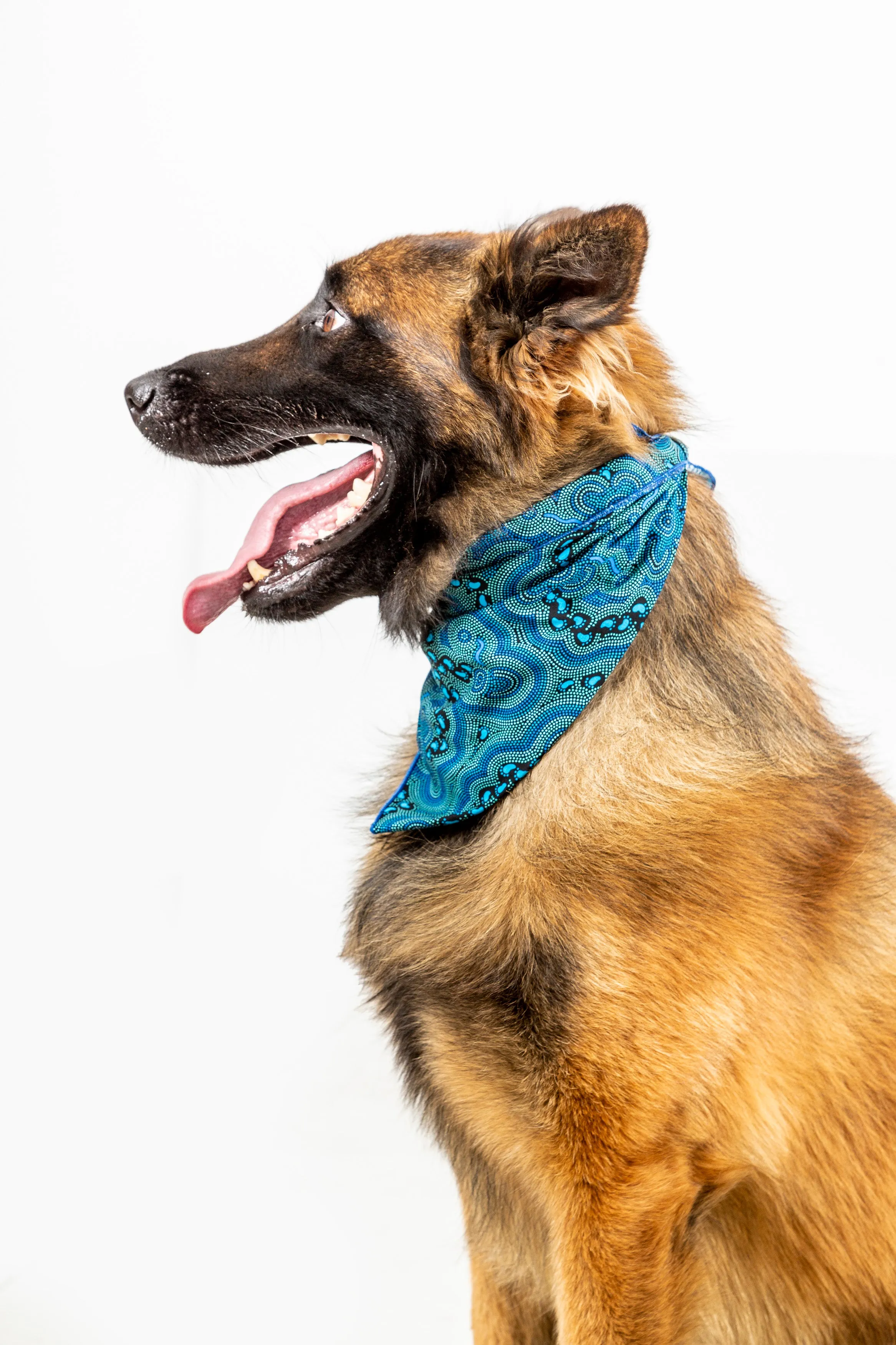 Doggie Bandanas