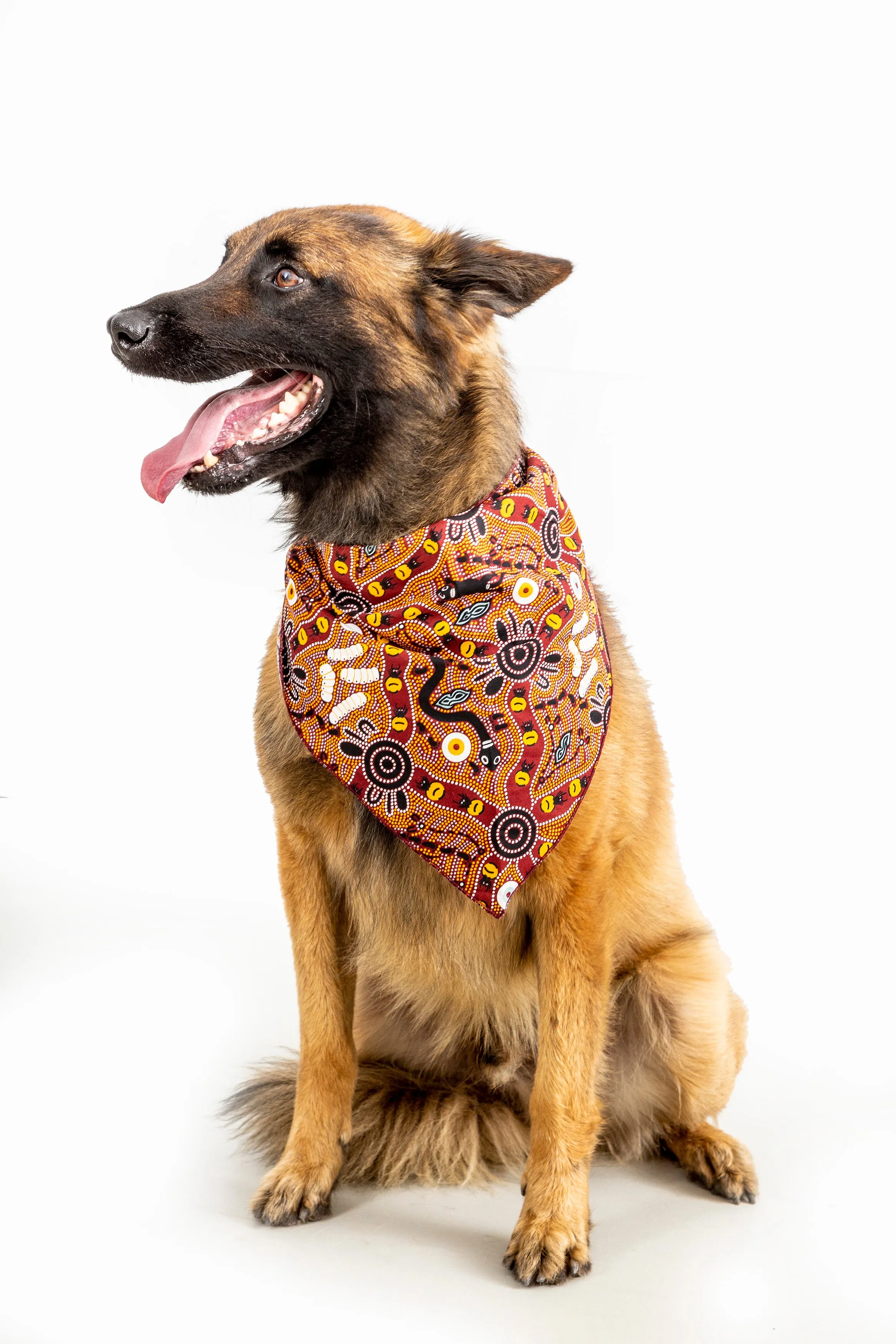 Doggie Bandanas