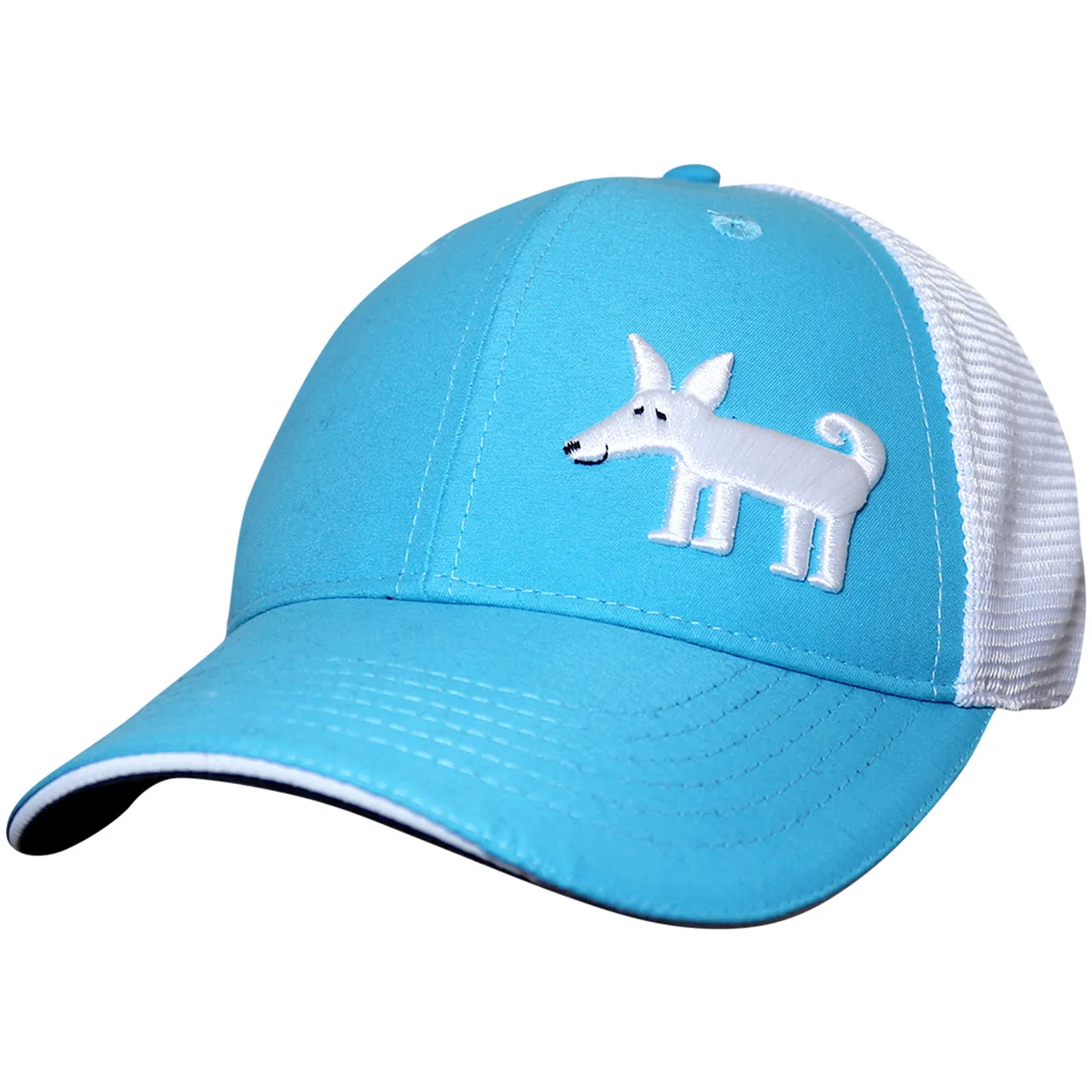 Teal Baxter 6 Panel Trucker Hat